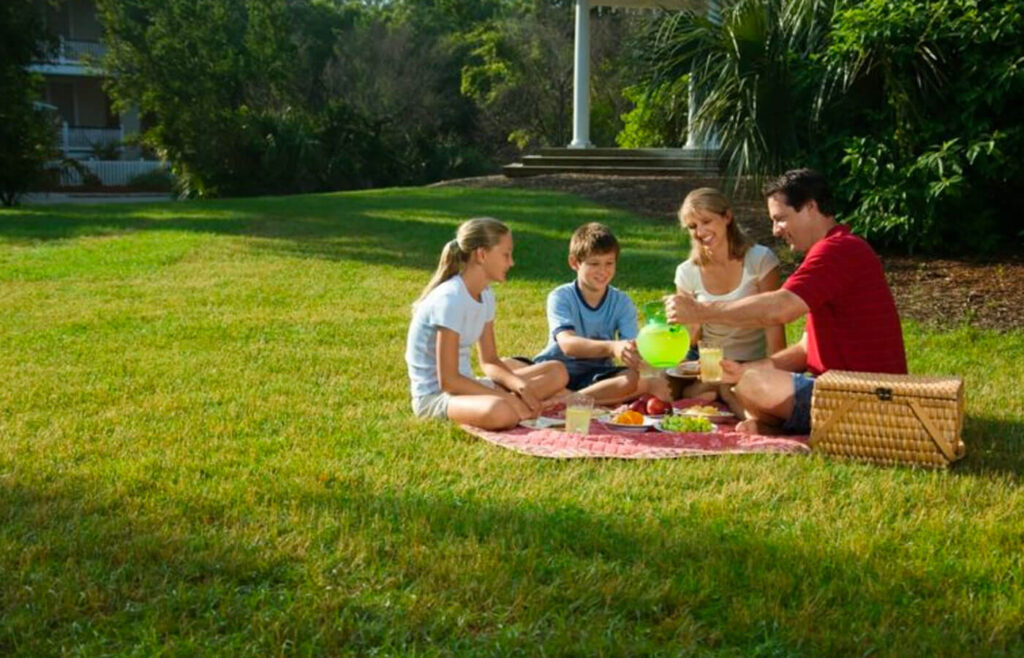 Understanding "organic" lawn care