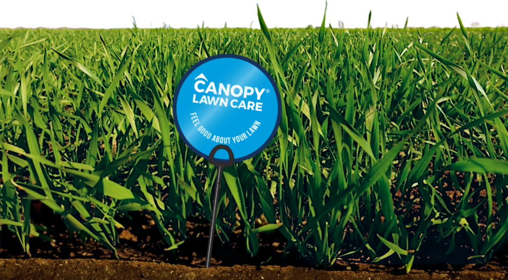 Soil biology