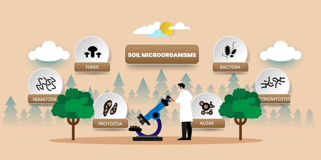 Soil biology