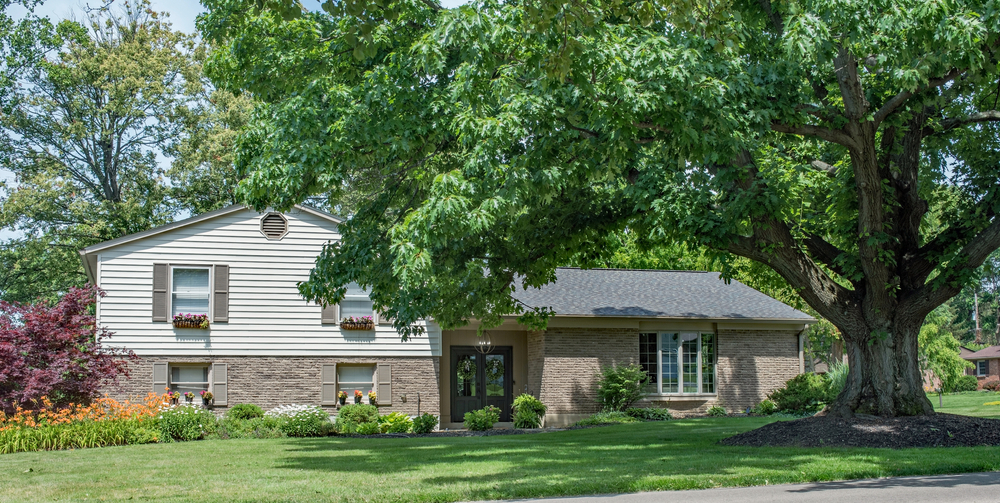 Grass Growing Tips for Shade